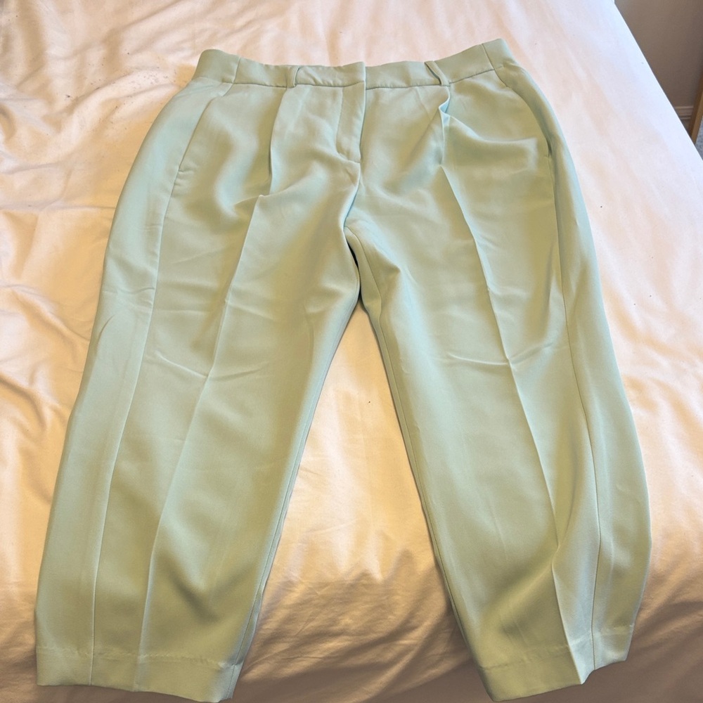 Express Light Green Cropped Pants